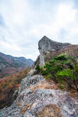바위산 사이사이에 여러가지 색의 단풍.