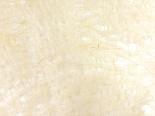 紙の繊維が美しい日本伝統の和紙