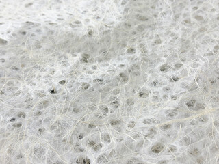 紙の繊維が美しい日本伝統の和紙