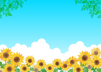 夏のひまわり畑のフレーム、背景
