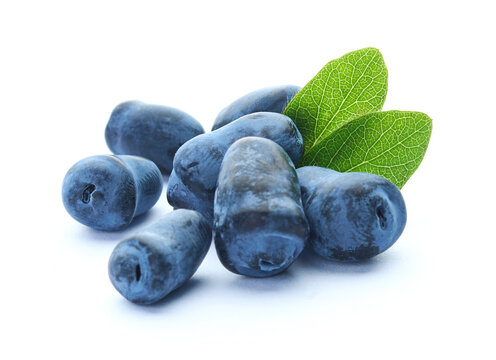 Honeysuckle with leaves in closeup