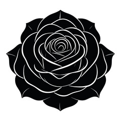 Elegant Black and White Rose Illustration A Stunning Floral Design