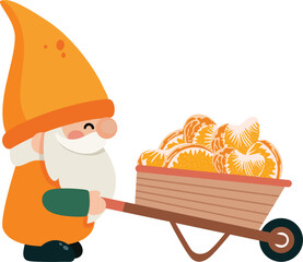 Cheerful Garden Gnome Hauls Fresh Oranges