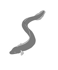 Clip art of Japanese eel