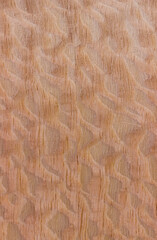 texture of wood. wooden board, eclological material. artificial wooden coating, .from recycled materials,beautiful texture, light, brown, view from above. vertical texture.