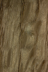 Obraz premium texture of old wood. aged board. dark, green, a place for a text or object. artificial wooden coating, from recycled materials, beautiful texture, the effect of aging