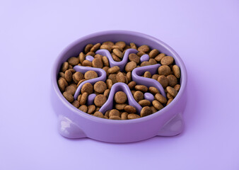 Cat and dog purple slow Feeding Bowl on purple background