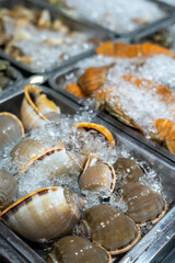 In the trays, you can find a wide variety of different types of seafood