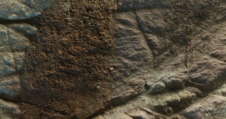 Close-up of mixed surface textures on cracked stone with earthy brown tones