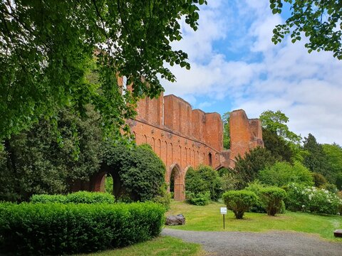 Ruine des Klosters. Das Kloster Hude st eine ehemalige Zisterzienserabtei in der Gemeinde Hude im Landkreis Oldenburg (Niedersachsen / Deutschland).