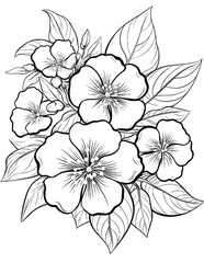 vector drawing of a hand drawn flower