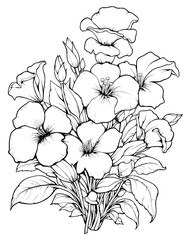 vector drawing of a hand drawn flower