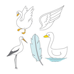 Hand-Drawn Cartoon Vector of Cranes, Swans, Wings, and Feathers | Cute Bird Elements in Sketch Style