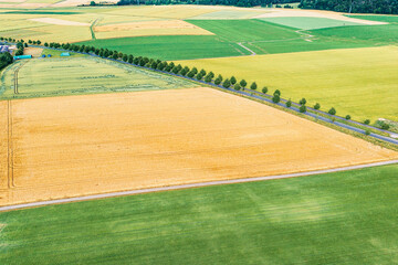 A tree-lined road through fields and meadows in the Taunus Mountains from a bird's eye view