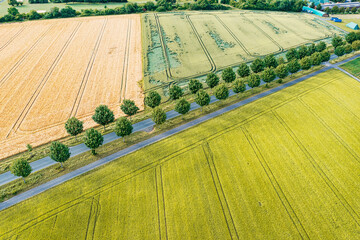 A tree-lined road through fields and meadows in the Taunus Mountains from a bird's eye view