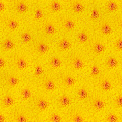 Bright Yellow Floral Pattern With Vibrant Daisy Blooms in Full Detail