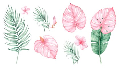 set of watercolor illustrations, pink tropical monstera and banana leaves for wedding invitation card.brazil, colors, cut out, horizontal, large, lifestyles, no people, photography, purple, 