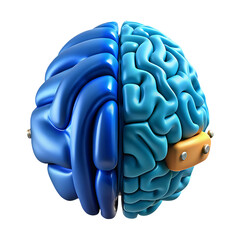 Human Brain Hemispheres Left and Right Brain Functions Illustrated