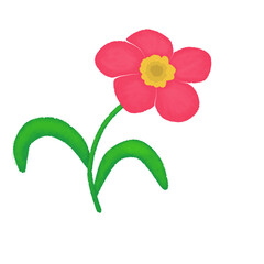 pink flower ilustration on transparant background