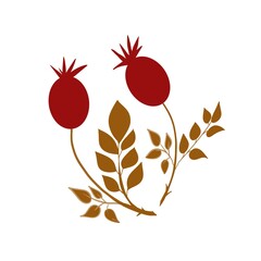 
rosehip, pattern, decor, art, symbol, part of the logo, logo, flower