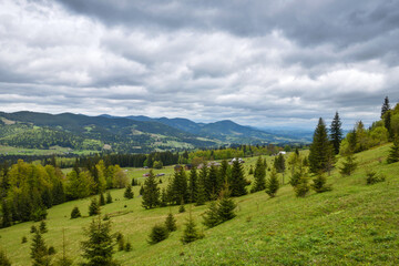 Picturesque mountain landscape. Mountain slopes with meadows, forests and cloudy sky. Carpathians. Ukraine