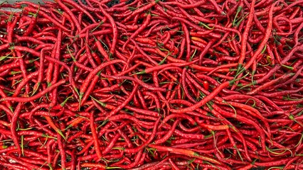 Fototapeta premium red chili peppers