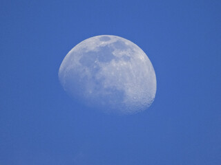 Daytime Moon in a Clear Blue Sky