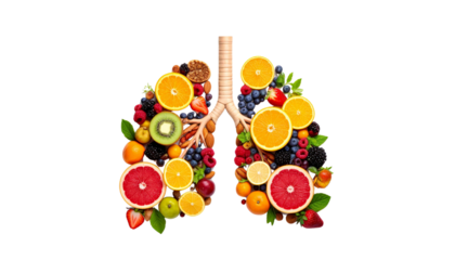 Healthy lungs made of fruits Isolated on solid white Background Png 