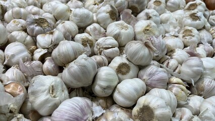 garlic on the market