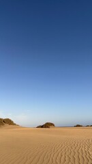 Fototapeta premium Dunes