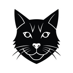 black and white cat face