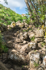 the D&eacute;roc waterfall, in the Aubrac region