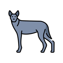 Indian wolf color line icon for digital and print projects.