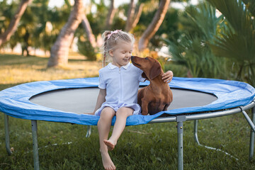 a three year old smiling girl playing with dachshund dog on trampoline in green sunny summer park