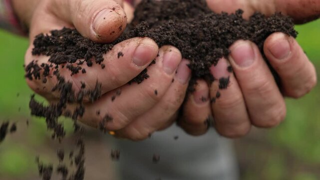 Fertile soil in male hands. Farmer hold rich land in field. Handful black soil. Natural ecological farming. Agricultural business. Humus, fertilized land. Bio agriculture and eco friendly cultivation.