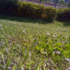 Obraz premium 들판