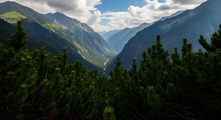 Mountain Valley View with Trees and Clouds