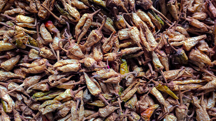 close up of dried Chillies.