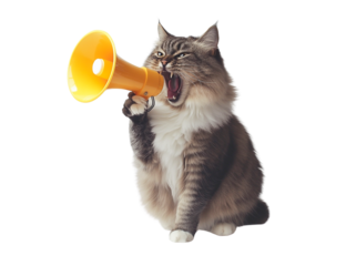 Fluffy cat holding yellow megaphone isolated on transparent PNG