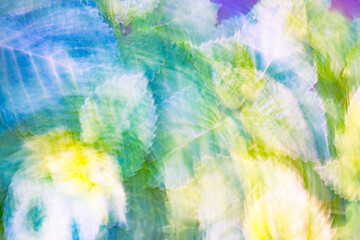 Captivating movements of green and yellow leaves in the soft sunlight