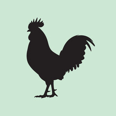 vector silhouette of a rooster on a green background