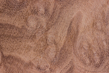 texture of old wood. aged board. brown, red, gold, a place for a text or object. artificial wooden coating, from recycled materials, beautiful texture, the effect of aging