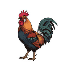 vector illustration of a rooster on a white background