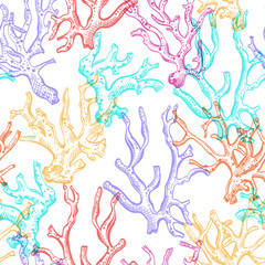Multicolor hand drawn corals background. Summer seamless pattern. Vector sketch illustration. Textile print design