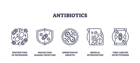 Antibiotics are depicted with icons showing bacteria destruction, infection protection, and medical intervention. Outline icons set