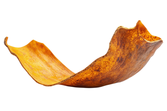 Golden Hues Abstract Brown and Yellow Curve on Black Earth Tones Nature s Texture Artistic on transparent background - Powered by Adobe