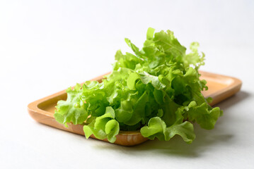 Organic green oak lettuce on wooden plate with white background, Fresh vegetables
