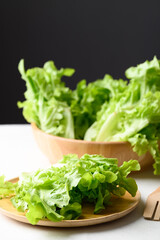 Organic green oak lettuce on wooden plate and bowl, Fresh vegetable, Healthy eating