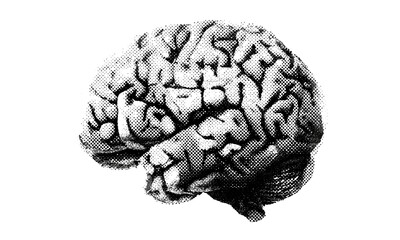 Brain with halftone stipple effect, grainy photocopy texture, grunge punk collage design, y2k style, experimental dotted retro banner, vector illustration, abstract art, edgy poster design.