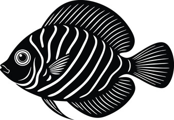 discus fish vector illustration